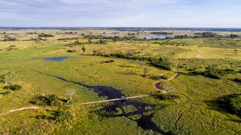 Mapula Lodge: Behelfsbrücke über einen Wasserlauf
