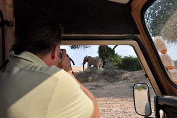Namibia Camping Safari: Auf der Suche nach Wüstenelefanten
