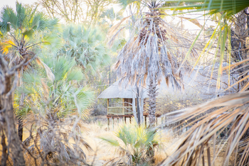 Nata Lodge Nata Lodge: Luxury Chalet im Busch