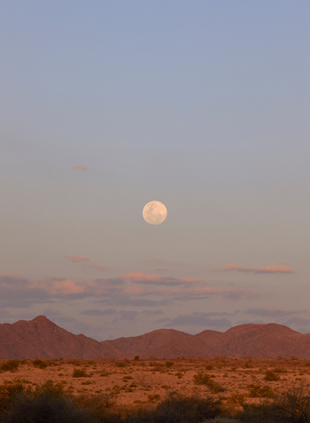 Nooishof: Landschaft