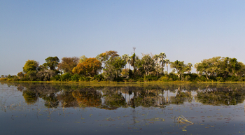 Pelo Camp: Die Pelo Insel