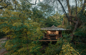 Rhino River Camp: Grüne Umgebung