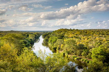 Singita Lebombo Lodge: Mäandernder Fluss durch smaragdgrünen Busch