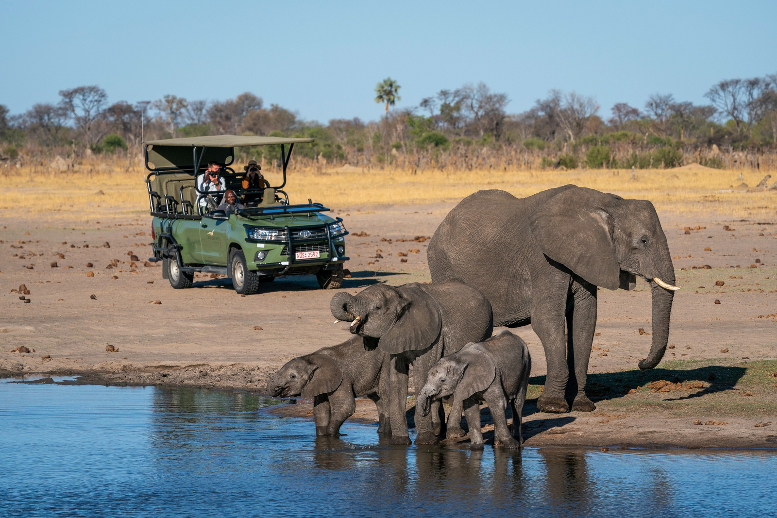 Linkwasha Camp Linkwasha Camp