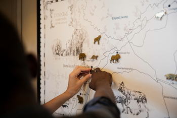 Duma Tau Camp Duma Tau Camp: Sightings Map