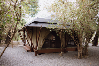 Elewana Sand River Masai Mara Camp Elewana Sand River Masai Mara Camp: Hauptzelt mit Kiesgarten