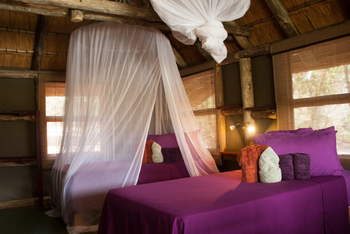 Epupa Falls Lodge: Einzelbetten mit Moskitonetzen
