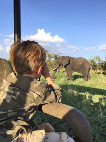 Forest Chem Chem: Family Game Drive