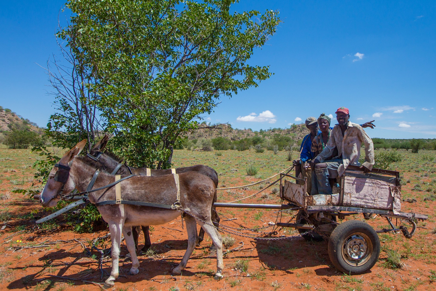 Grootberg Lodge