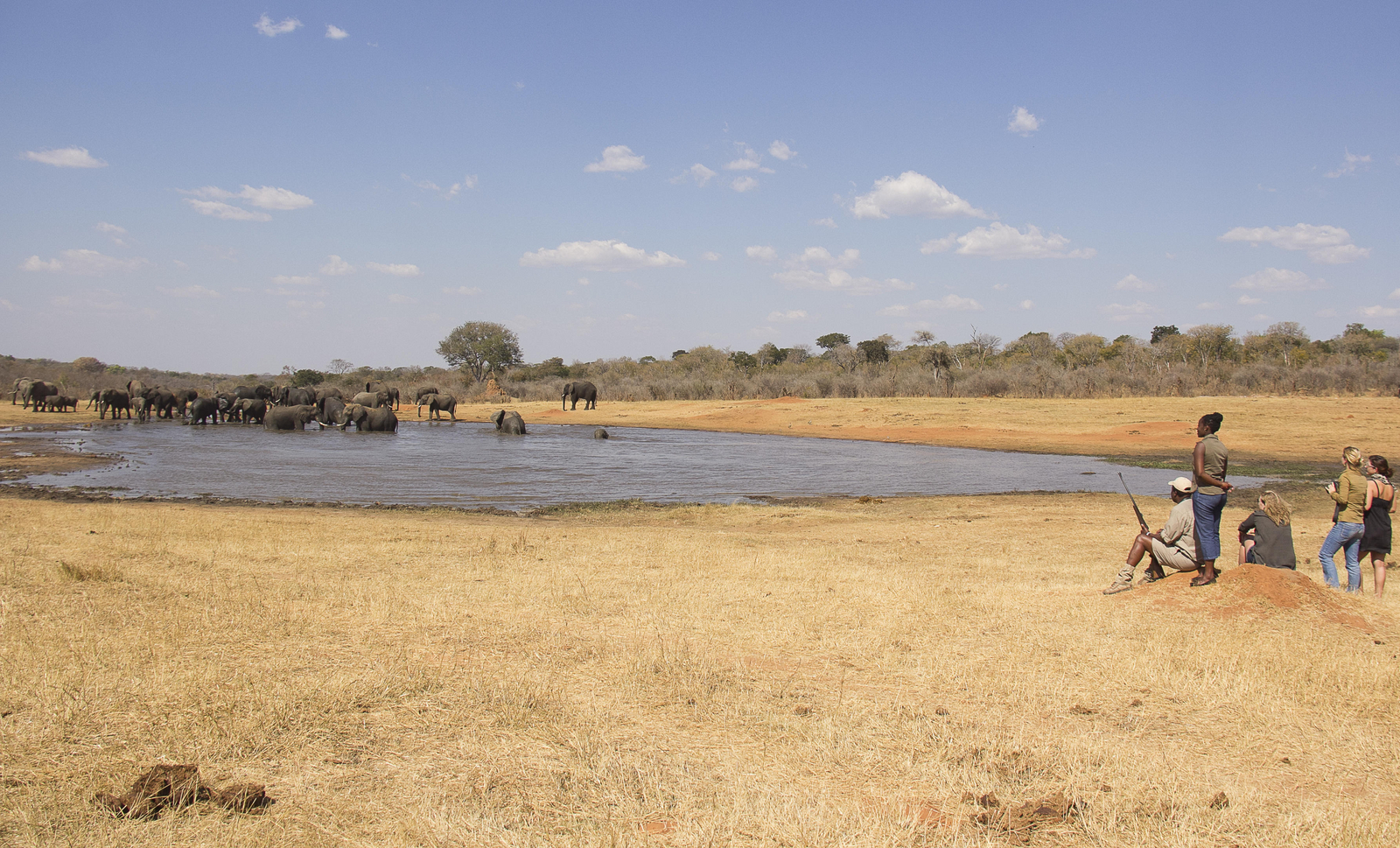 Ivory Safari Lodge Ivory Safari Lodge: Walking Safari zum Wasserloch