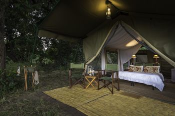 John's Camp John's Camp: Gästezelt - Interieur