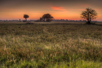 Kanana Camp: Abendstimmung