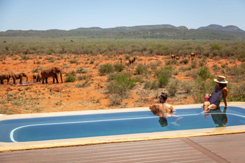 Madikwe Hills Private Game Lodge: Entspannung am Pool mit Elefantenblick