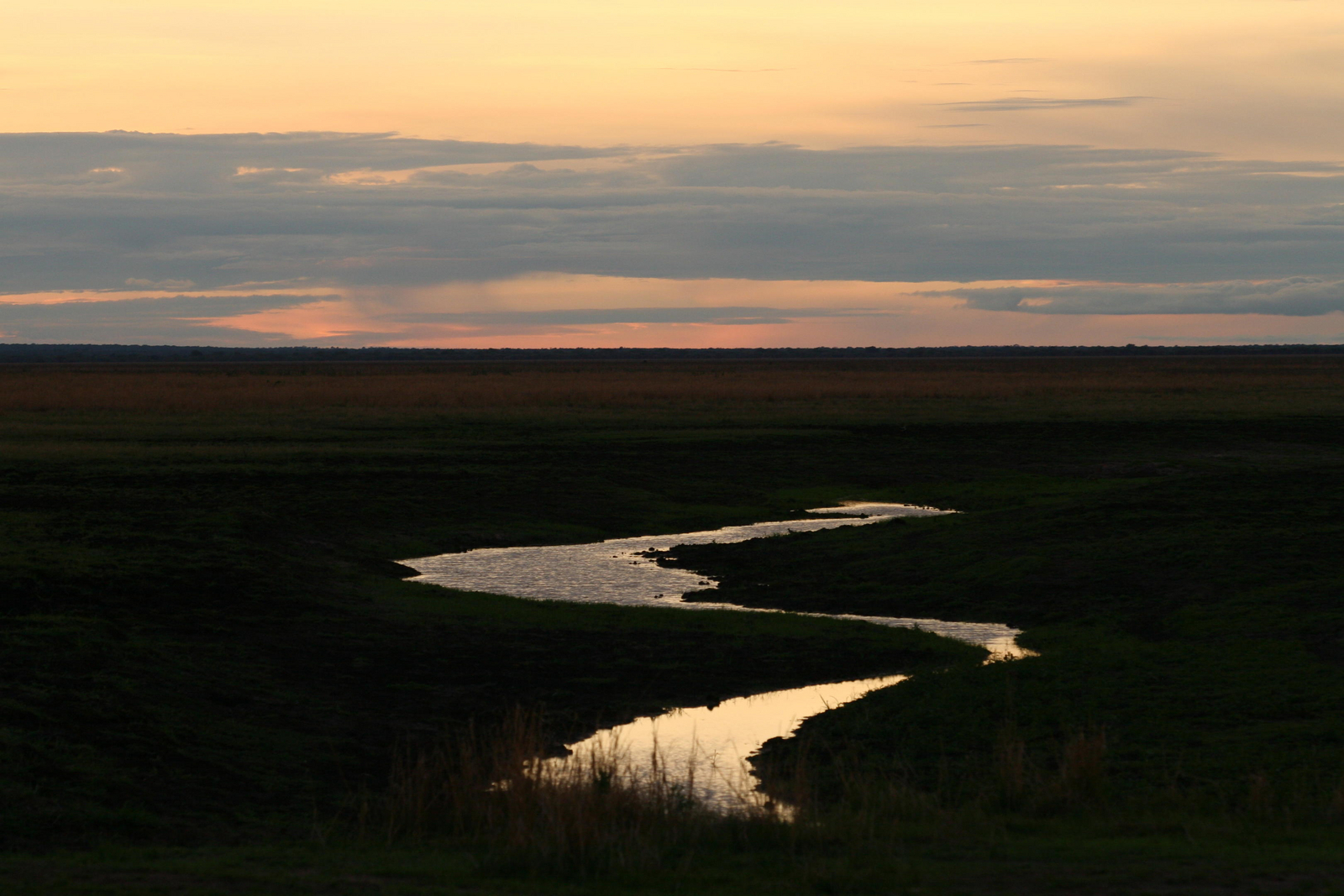 Mbali Mbali Katavi Camp Mbali Mbali Katavi Camp: Katuma River