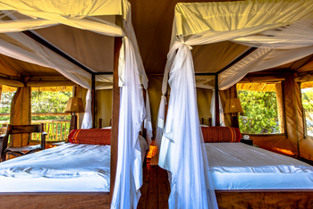 Mihingo Lodge: Einzelbetten