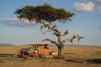 Naboisho Camp: Bush Bar