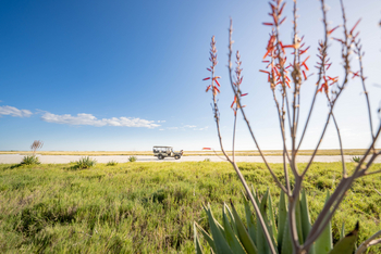 Nata Lodge Nata Lodge: Exotisches Gewächs