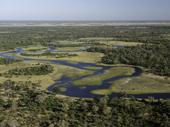 Savuti Camp Savuti Camp: Savute CHannel Panorma