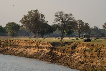 Shawa Luangwa Camp: Game Drive