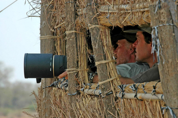 Shenton Safaris: Hippo Hide