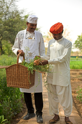 Sujan The Serai: Gemüse und Kräuter aus eigenem Anbau