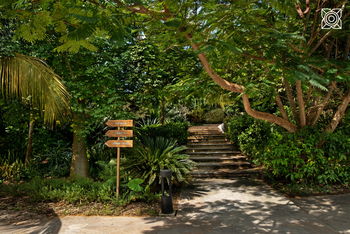 Zuri Zanzibar: Wege zum Gewürzgarten