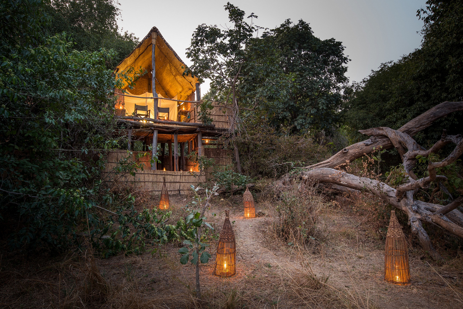 Chikoko Tree Camp Chikoko Tree Camp: Treehouse