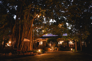 Bandhav Vilas: Banyan Tree