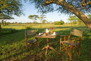 Ikoma Tented Camp: Frühstückstafel unter Akazie im Morgensonnenschein