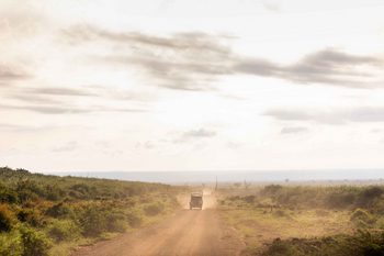 Jamala Madikwe: Safari-Fahrzeug auf staubigem Weg am Morgen