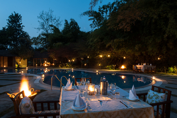 Jim's Jungle Retreat: Poolside Dinner