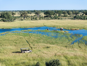 Karangoma Camp: Game Drive