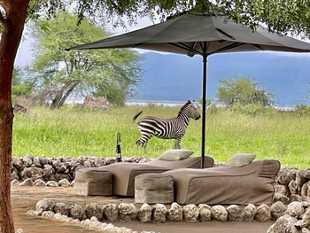 Little Chem Chem: Liegestühle vor dem Lake Burunge