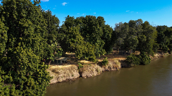 Mana River Camp Mana River Camp: Zelt unter Bäumen