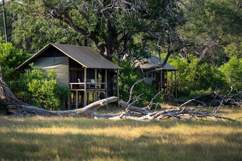 Mokolwane Camp: Gästezelte unter Bäumen