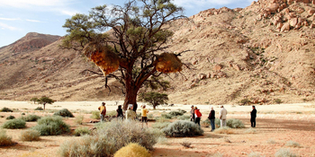 Namtib Desert Lodge: Geführte Wanderung