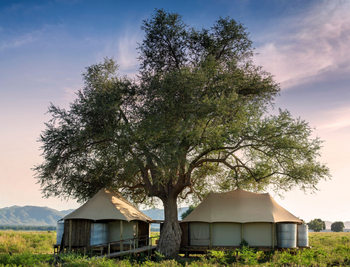Nyamatusi Mahogany Camp: Zelt bei Tag