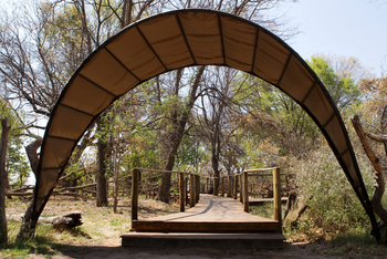 Okuti Camp: Vorfahrt