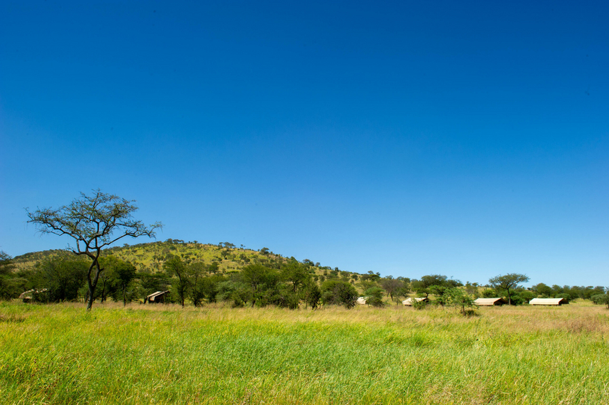 Serengeti Kati Kati Tented Camp Serengeti Kati Kati Tented Camp