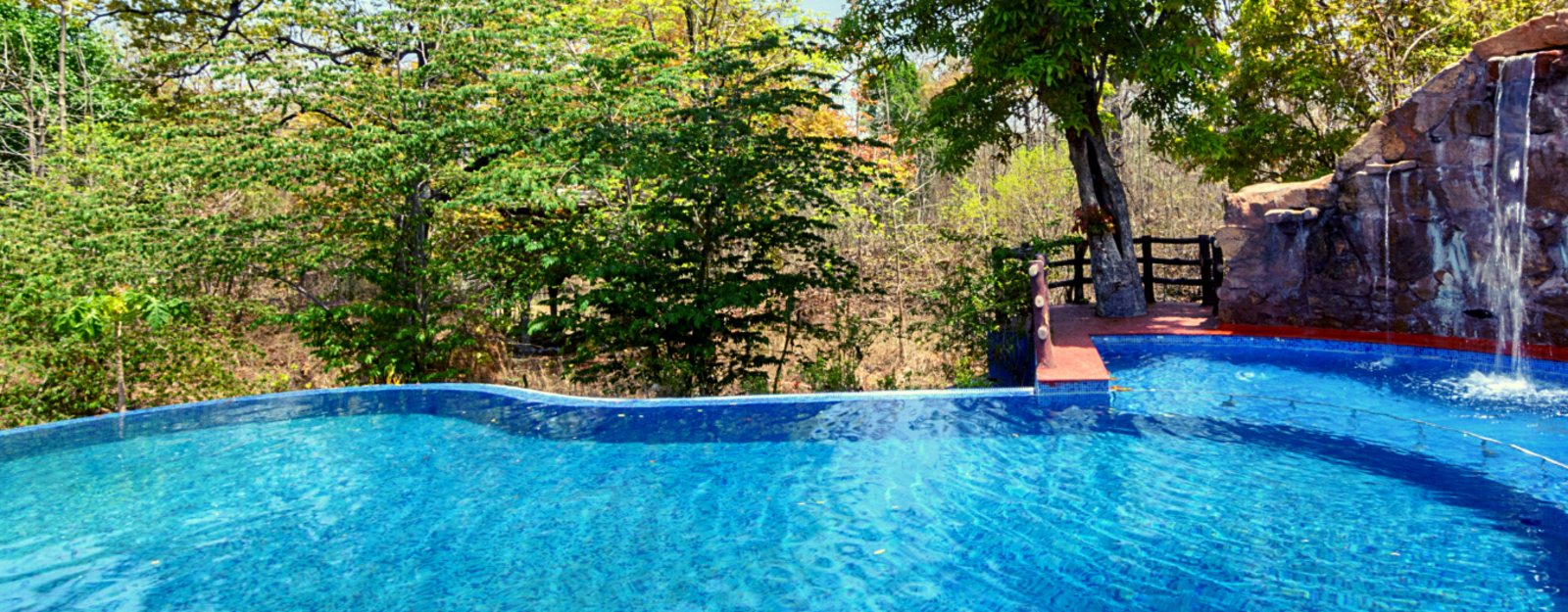 The Riverwood Forest Retreat The Riverwood Forest Retreat: Swimming Pool