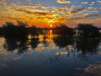 Bamboo Forest Safari Lodge: Sonnenuntergang