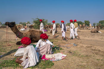 Bera Safari Lodge: Volk der Rabaris