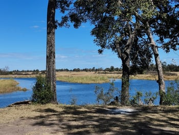 Camp Kwando: Landschaft und Tiere