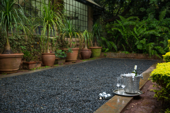 Giraffe Manor: Boule