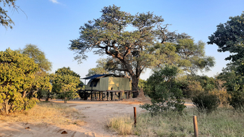 Jozibanini Camp Jozibanini Camp: Zelt unter Baum