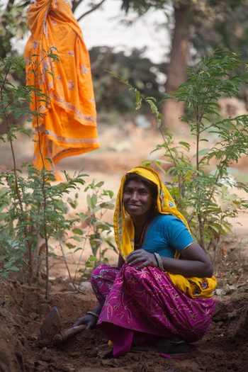 Khem Villas: Im Garten