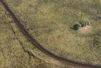 Moremi Crossing: Luftbild - Hippo Highway