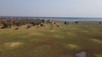 Nanzhila Lake Camp Nanzhila Lake Camp: Uferlandschaft