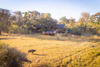 Rra Dinare Camp: Büffel vor dem Camp
