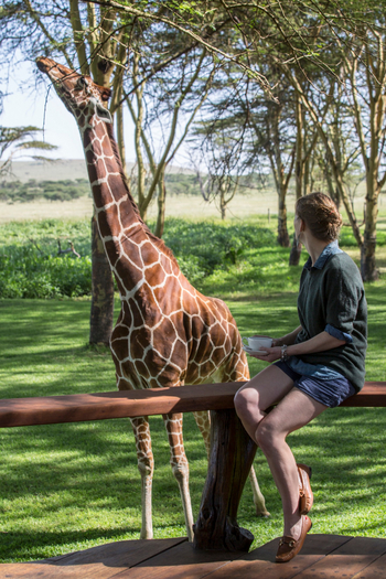 Sirikoi Lodge Sirikoi Lodge: Netzgireaffe